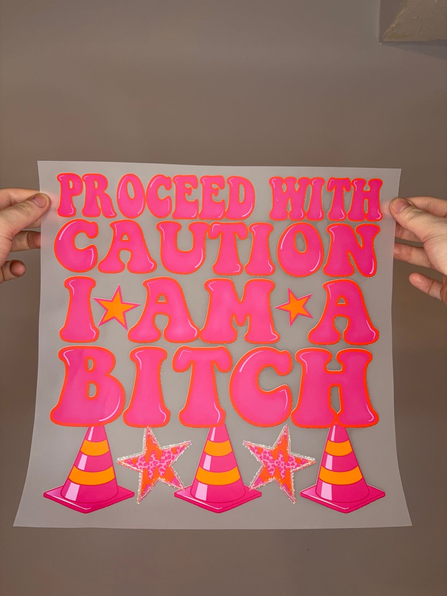 Proceed with caution. I am a bitch